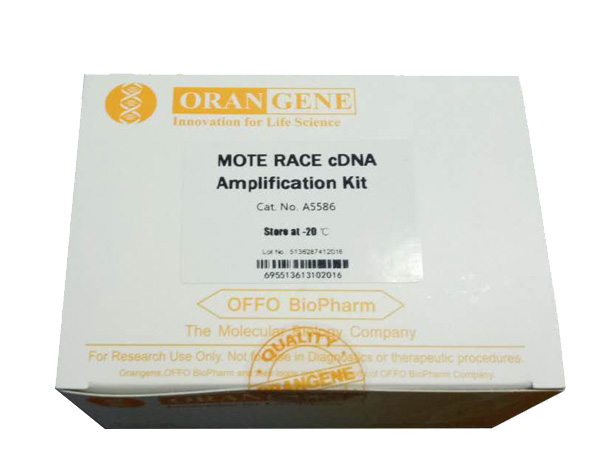 MOTE RACE cDNA合成与克隆试剂盒